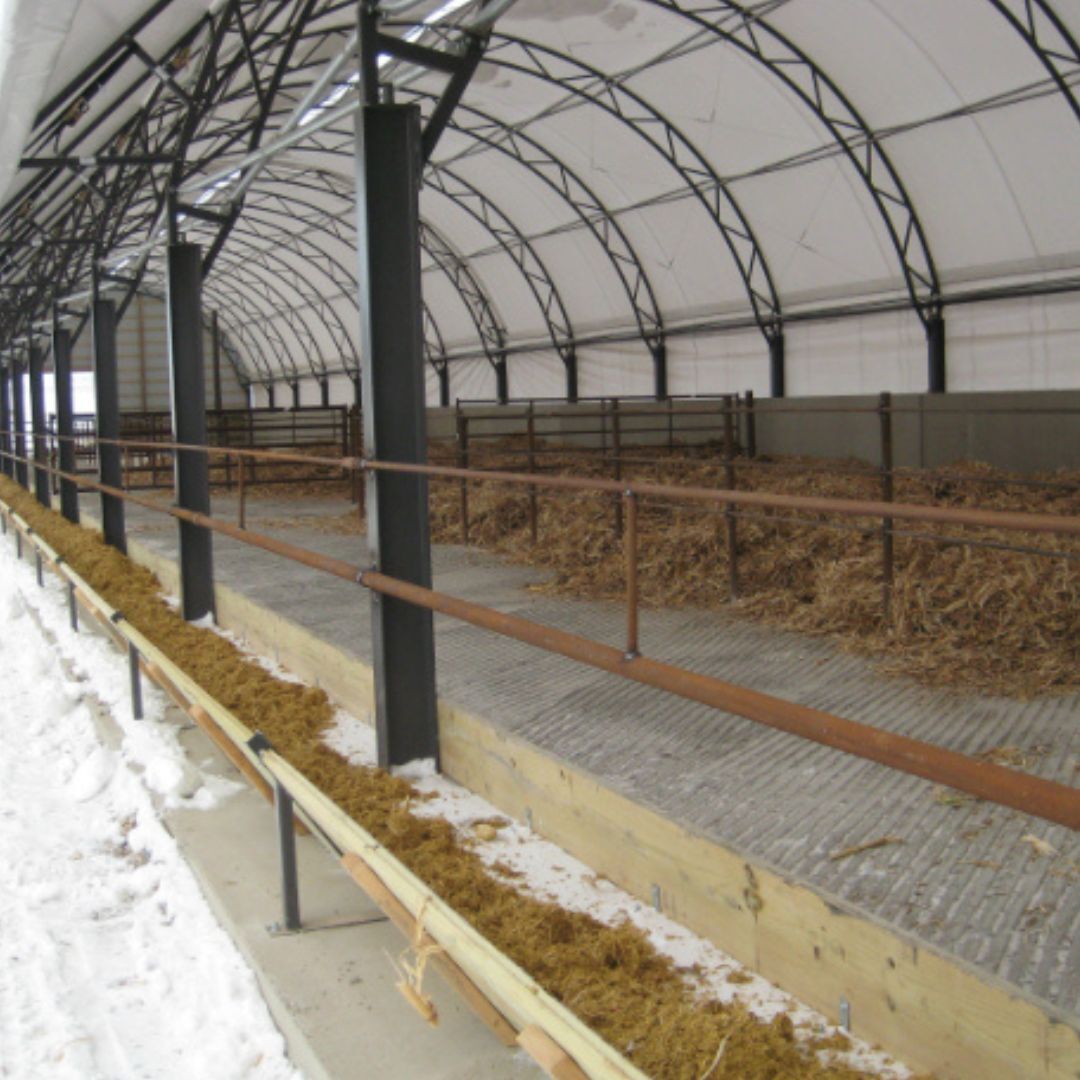 Hoop Beef Choice-1 Hoop Beef Choice-1