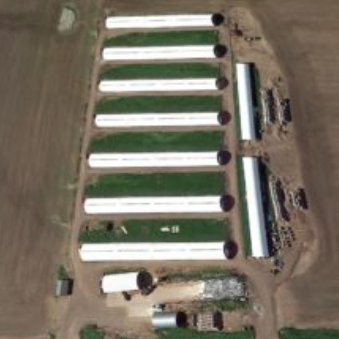 Grand Meadow Feeders